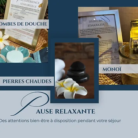 Fare Vahine, Maison Tahitienne Avec Jacuzzi Prive - Prestigelodgesfontainebleau Vakantiehuis *